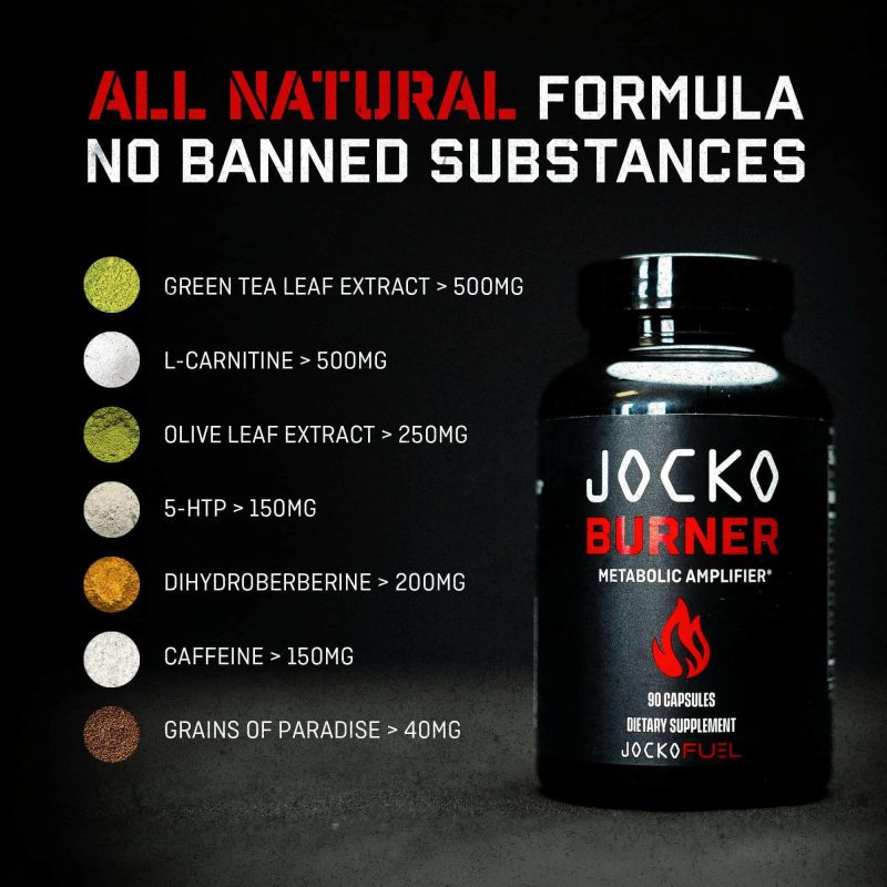 FAT BURNER INGREDIENTS copy 1